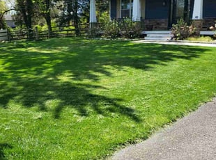 Ryan W.'s lawn service service result