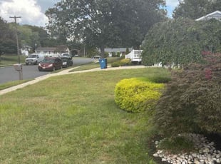 Aaron O.'s Bush Trimming service result