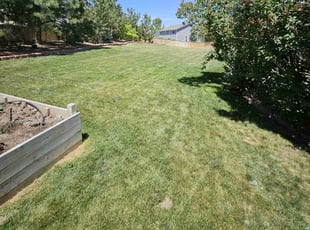 Betty L.'s lawn care services service result