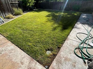 Joyce T.'s grass cutting service result