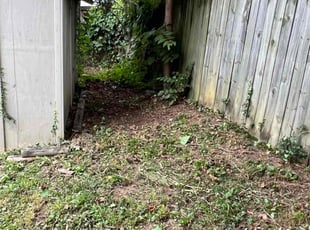 Flora F.'s Bush Trimming service result