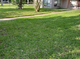 Ryan H.'s grass maintenance service result