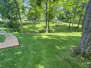 Crystal S.'s turf care service result