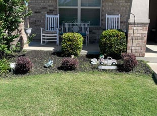 Alson C.'s Bush Trimming service result