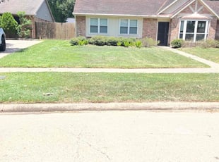 Albert C.'s turf maintenance service result