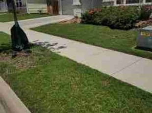Alexandra R.'s turf care service result
