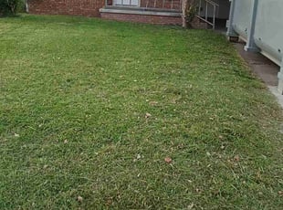 Marilyn M.'s lawn maintenance service result