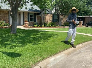 Michelle W.'s residential landscaping service result