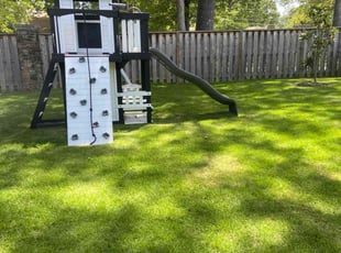 Michelle S.'s lawn maintenance service result