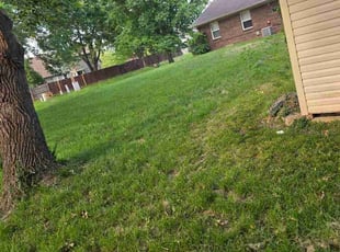 John W.'s grass maintenance service result