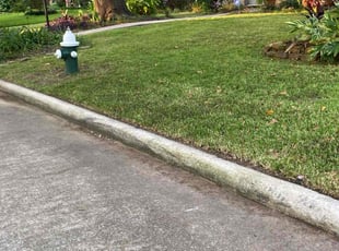 Jackson E.'s turf maintenance service result