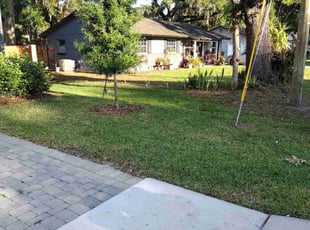 Afia F.'s lawn care service result