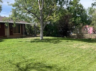 Jericho J.'s lawn care services service result
