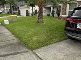 Theresa L.'s turf care service result