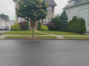 Geraldine B.'s lawn maintenance service result