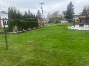 Dennis S.'s lawn maintenance service result