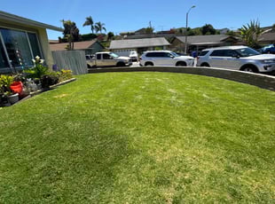 Dawn L.'s lawn maintenance service result
