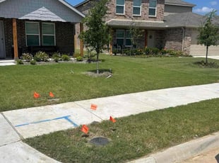 Tiffani T.'s lawn maintenance service result