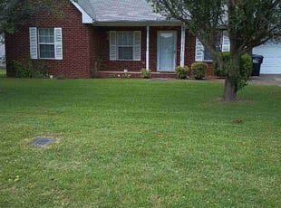 Edwin V.'s grass maintenance service result