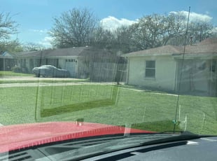 Michael S.'s turf care service result