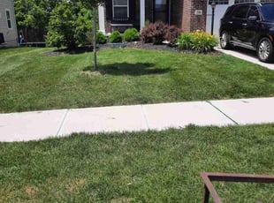 Tobin S.'s lawn care services service result