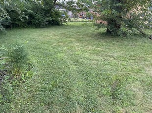 Jill A.'s grass cutting service result