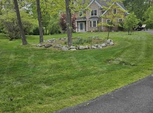 Ron T.'s grass maintenance service result