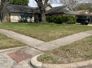Desmond F.'s grass maintenance service result