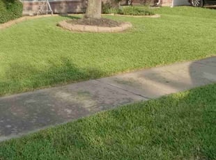 Edward H.'s grass maintenance service result