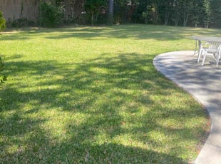 Dolly W.'s turf care service result