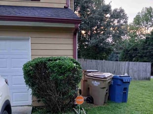 Sonja W.'s Bush Trimming service result