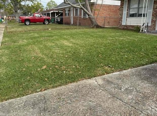 Henry L.'s turf maintenance service result