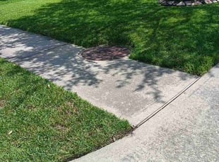 Joshua W.'s turf maintenance service result