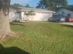 Paul M.'s yard work service result