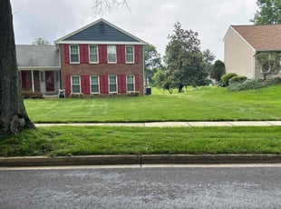 Daniel C.'s lawn service service result