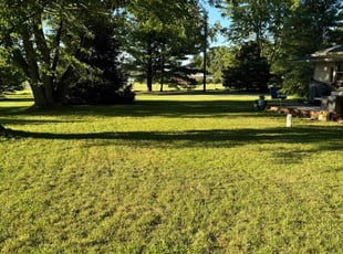 Sandy W.'s turf care service result