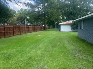 Dammernic M.'s Long Grass Cleanup service result