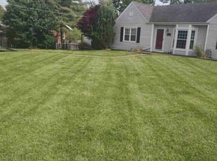 Jesse S.'s turf care service result