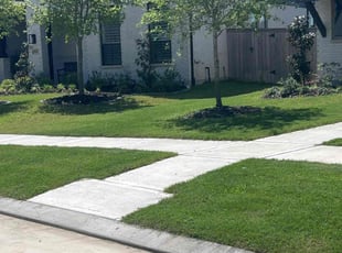 Ariyha H.'s lawn care services service result