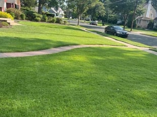 Anthony C.'s grass maintenance service result