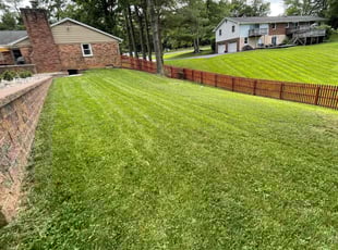 Blair D.'s landscape maintenance service result