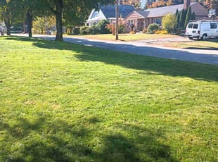 Arpit P.'s turf maintenance service result