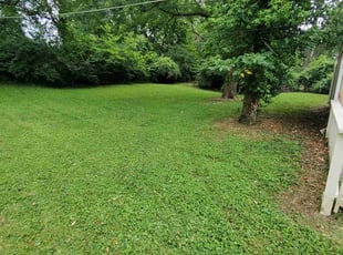 Jess B.'s lawn care service result