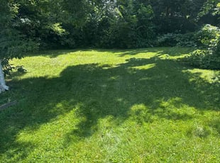 Earle T.'s lawn care service result