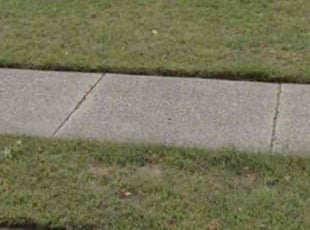 Jordan C.'s lawn care services service result
