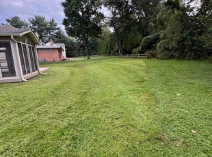 Steve J.'s turf care service result
