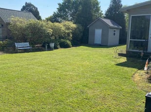 Shauna W.'s turf maintenance service result
