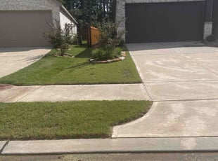 Jerrisue R.'s turf maintenance service result