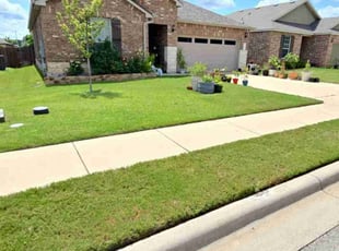 Andrea M.'s turf care service result