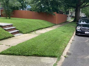 Jonny N.'s grass cutting service result
